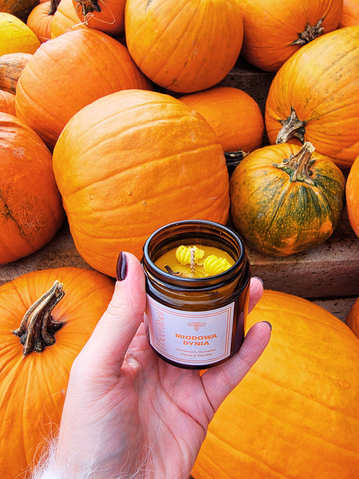 Świeca z wosku pszczelego w słoiku-MIODOWA DYNIA